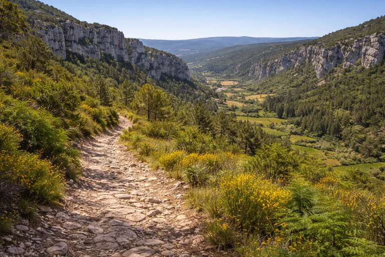 Alcanena Trail