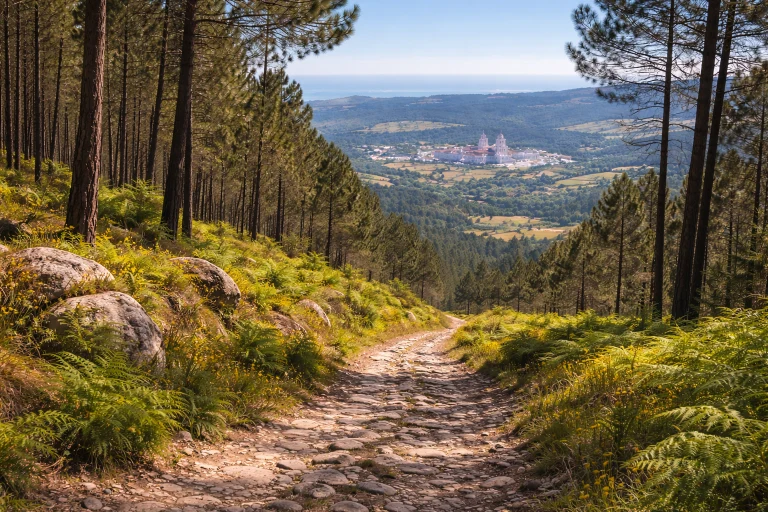 Mahfra Nature Trail