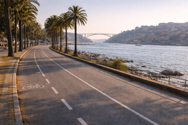 Meia Maratona do Porto