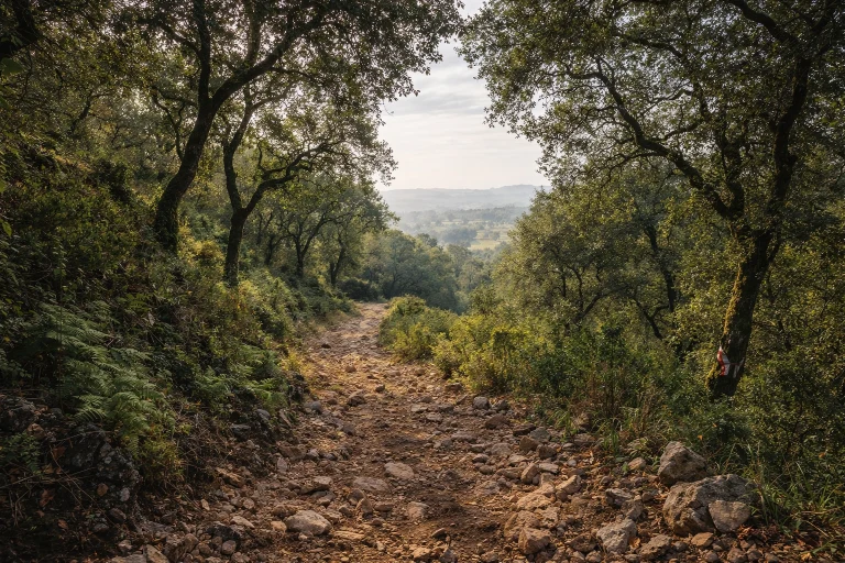 Trail Off-Road da Barreira