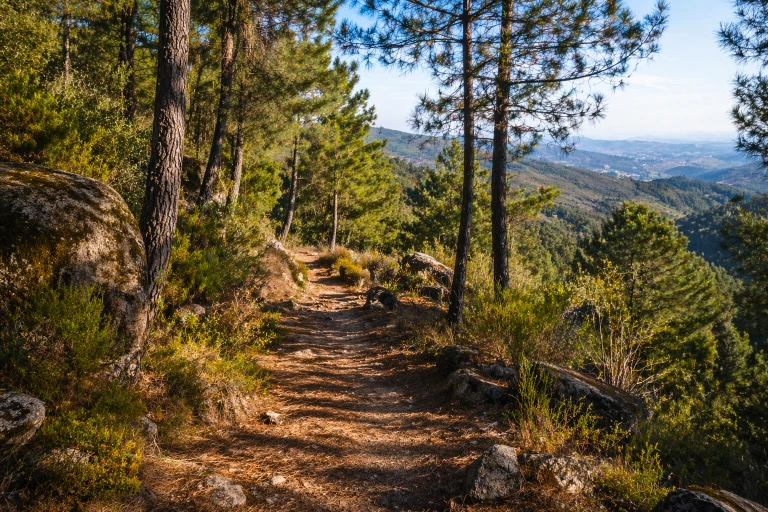 Trail da Raposa
