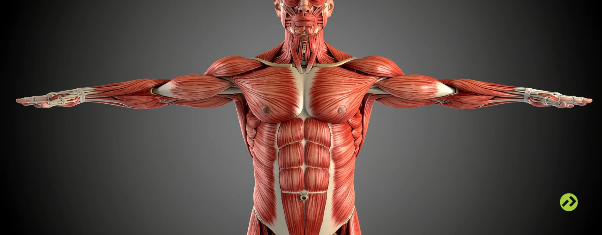 Alimentação para recuperação muscular: 7 passos para as 24 horas após um treino intenso